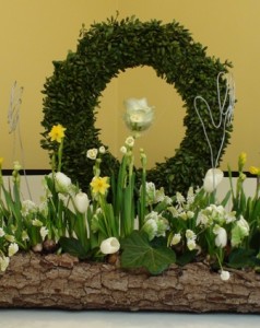 Doop lente DSC04590.jpgwebklein 3